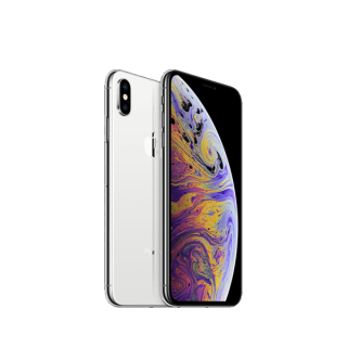 Suspendisse gravida lacus varius