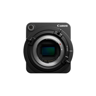 Pellentesque dignissim sapien semper